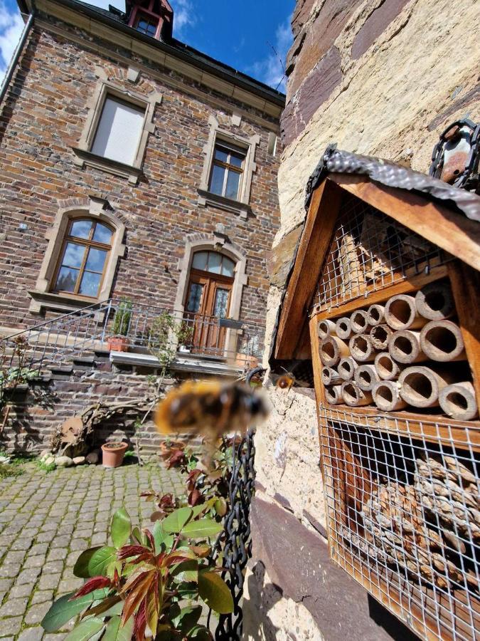 Winzervilla Ediger-Eller Extérieur photo